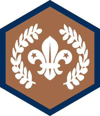 Chief Scout Bronze Award