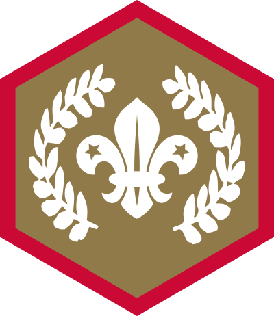 chief-scouts-gold-award-scouts-rgb-png