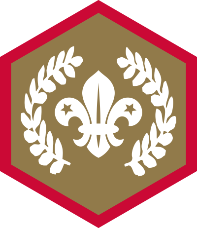 Chief Scout Gold Award