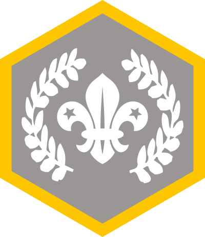 chief-scouts-silver-award-cubs-rgb-png