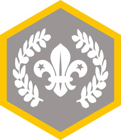 Chief Scout Silver Award